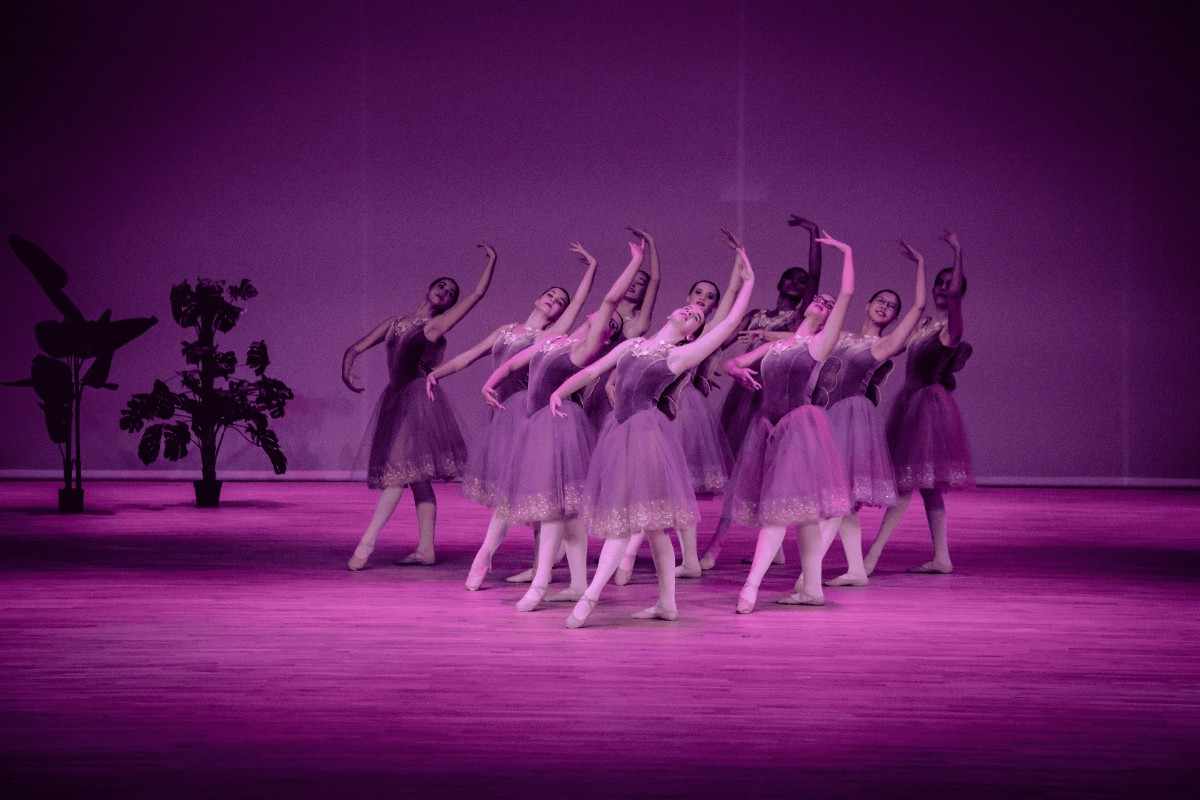 Group of girls performing ballet dance on stage