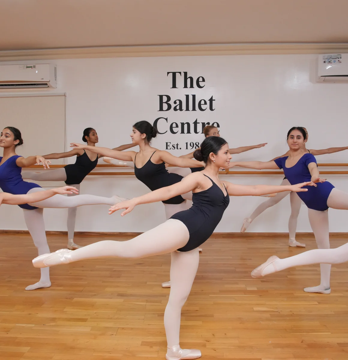 Ballet students at the barre during a graded class