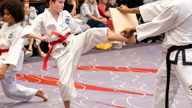 Young Taekwondo red belt kicking a board held up by his instructor
